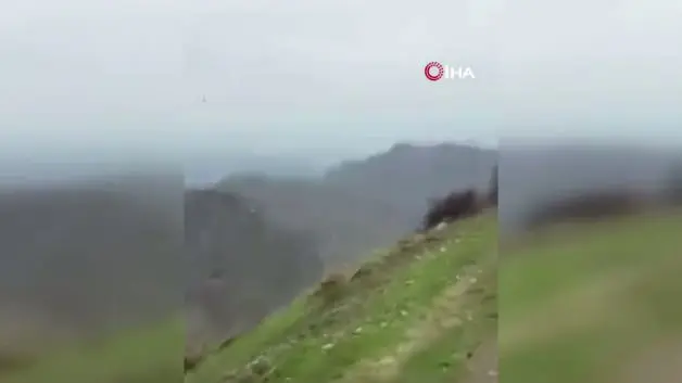 Şırnak'ta hayrete düşüren görüntüler: Kartalın domuz avı saniye saniye kamerada
