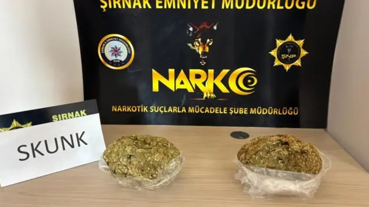 Şırnak’ta uyuşturucu sevkiyatına jandarma engeli: Narkotik köpeği maddeyi kaçırmadı!