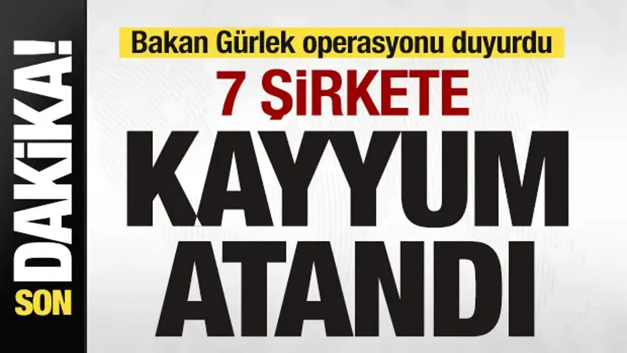 Son Dakika: Usulsüz yolla Türk vatandaşlığı dağıtmışlar! 7 şirkete kayyum atandı