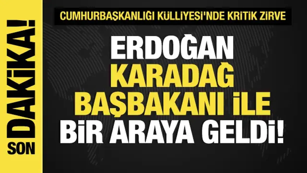Son dakika...Cumhurbaşkanı Erdoğan, Karadağ Başbakanı Spajic'i kabul etti