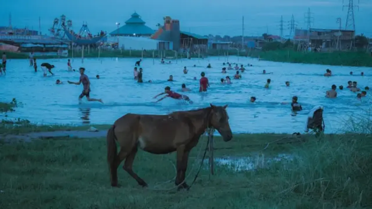 Sony Dünya Fotoğrafçılık Ödülleri 2026: Genel kazananlar açıklandı