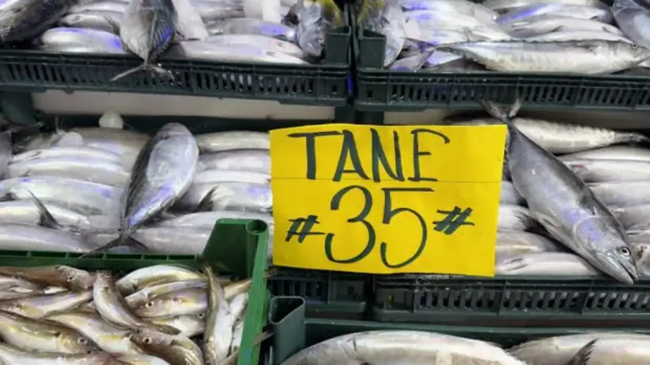 Strafor köpük kasasının fiyatı palamuttan 3 kat pahalı