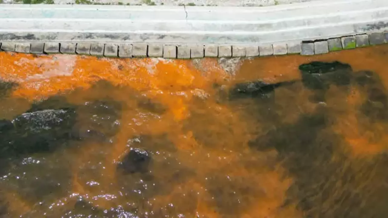 Tekirdağ'da denizin rengi değişti! Uzmanlardan açıklama geldi