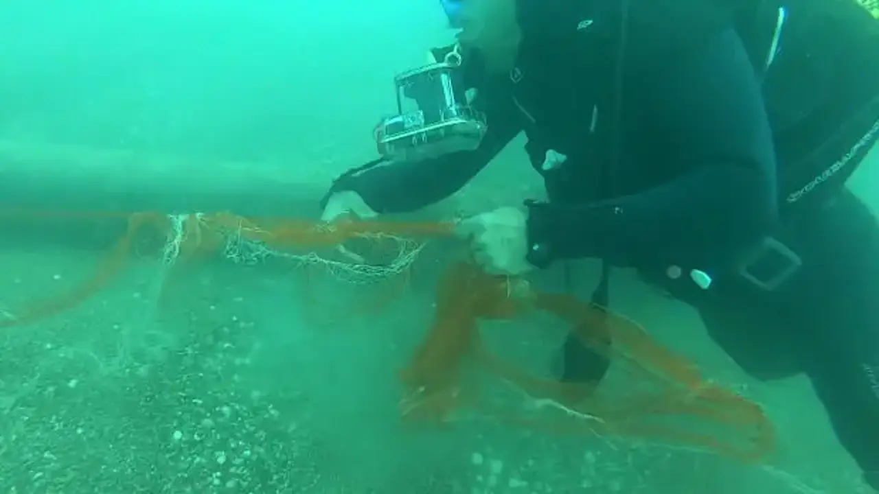 Temizlenen 'hayalet ağlar' ile 1,5 milyon deniz canlısı kurtarıldı