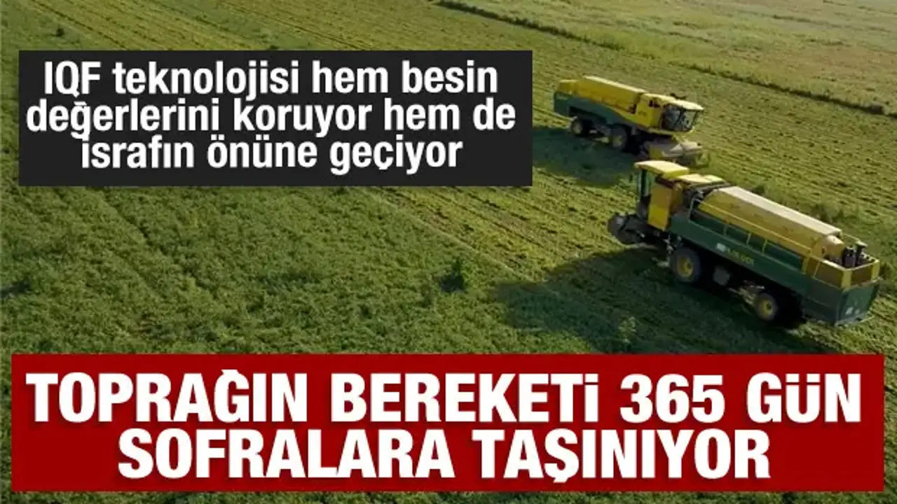 Toprağın bereketi SuperFresh’in ‘hasat’ıyla yılın 365 günü sofralarda
