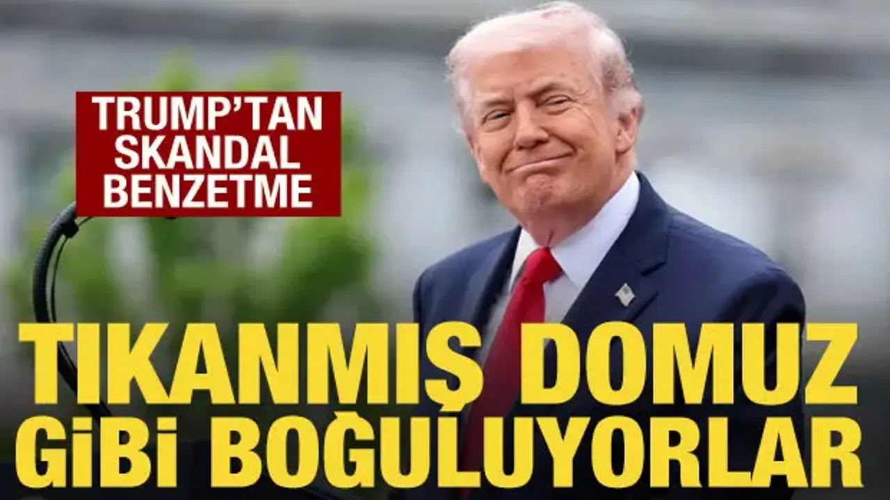 Trump'tan İranlılar için skandal benzetme: Domuz gibi boğuluyorlar