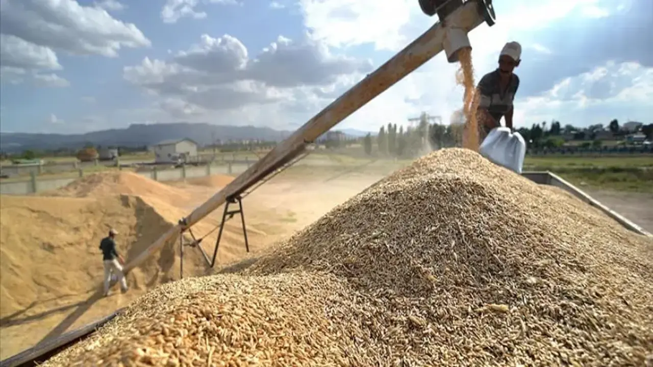 Türkiye'nin hububat ihracatı ilk dört ayda 3,9 milyar dolara ulaştı