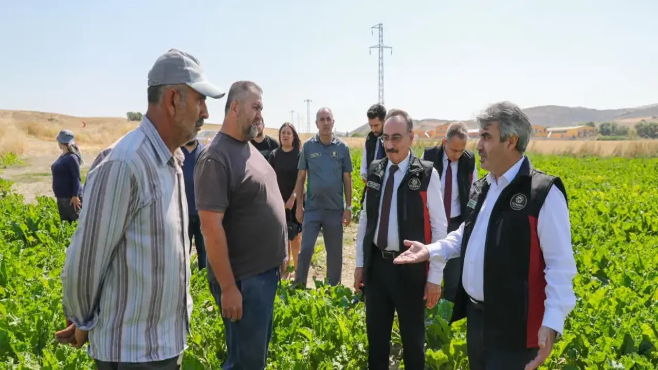 TÜRKŞEKER yeni üretim hedefini açıkladı: 14 fabrika 85 milyonun malıdır