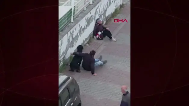 Ümraniye’de ağızlıksız gezdirilen rottweiler, küçük ırk köpeğe saldırdı