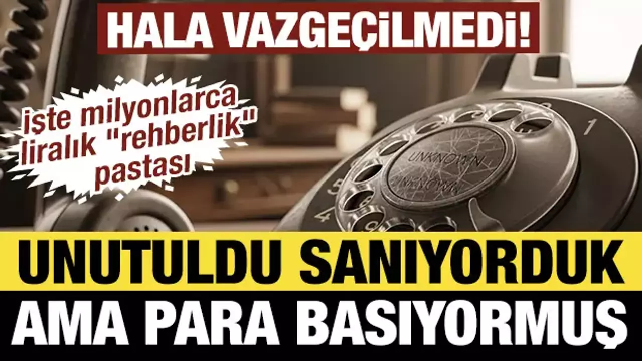 Unutuldu zannedilen hizmet para basıyor! İşte milyonlarca liralık 