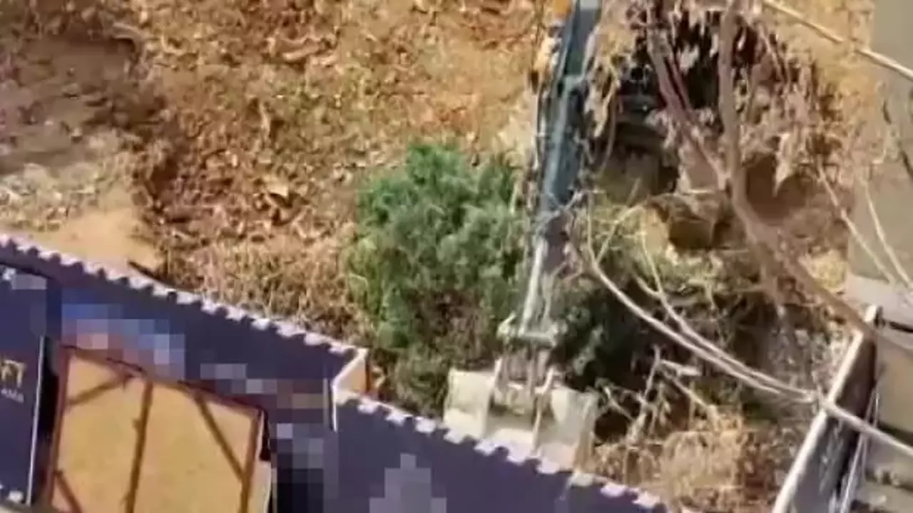 Üsküdar Belediyesi'nin ruhsat verdiği inşaat alanında ağaçlar kesildi