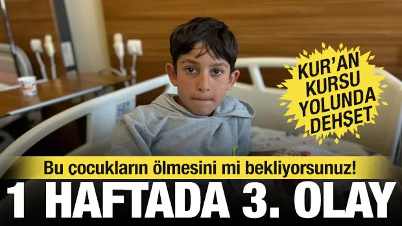 Van'da bir hafta arayla 3'üncü köpek saldırısı: Yasa var, uygulayan yok…