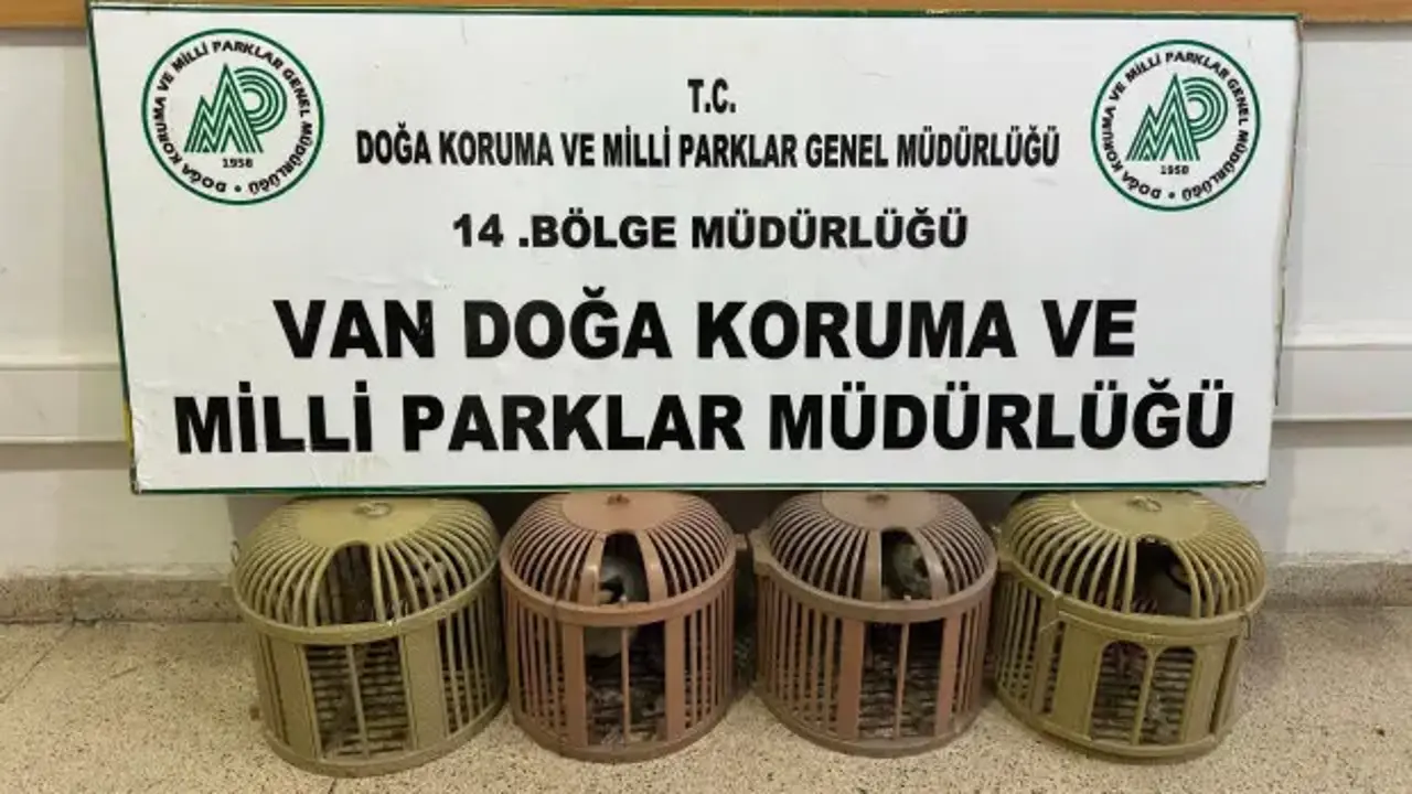 Van’da kaçak avcıya jandarma ve milli parklar engeli!