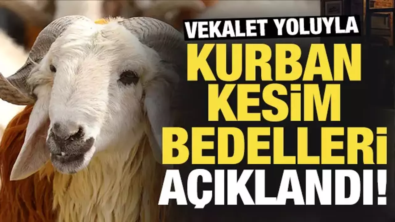Vekalet yoluyla kurban kesim bedelleri açıklandı! İşte rakamlar...