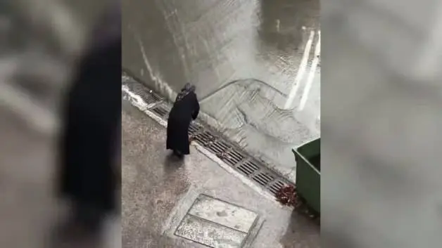 Yalova'da alkışlanacak mazgal temizliği: Helal olsun teyze!