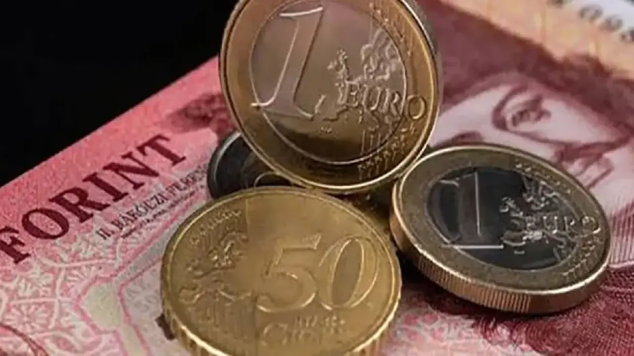 Yeni başbakan resmen açıkladı: Ülke Euro'ya geçiyor!