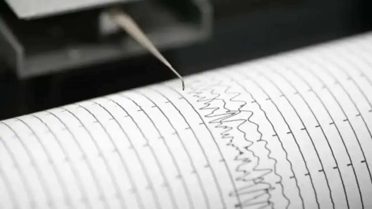 Yeni Zelanda'da deprem! Beşik gibi sallandı!