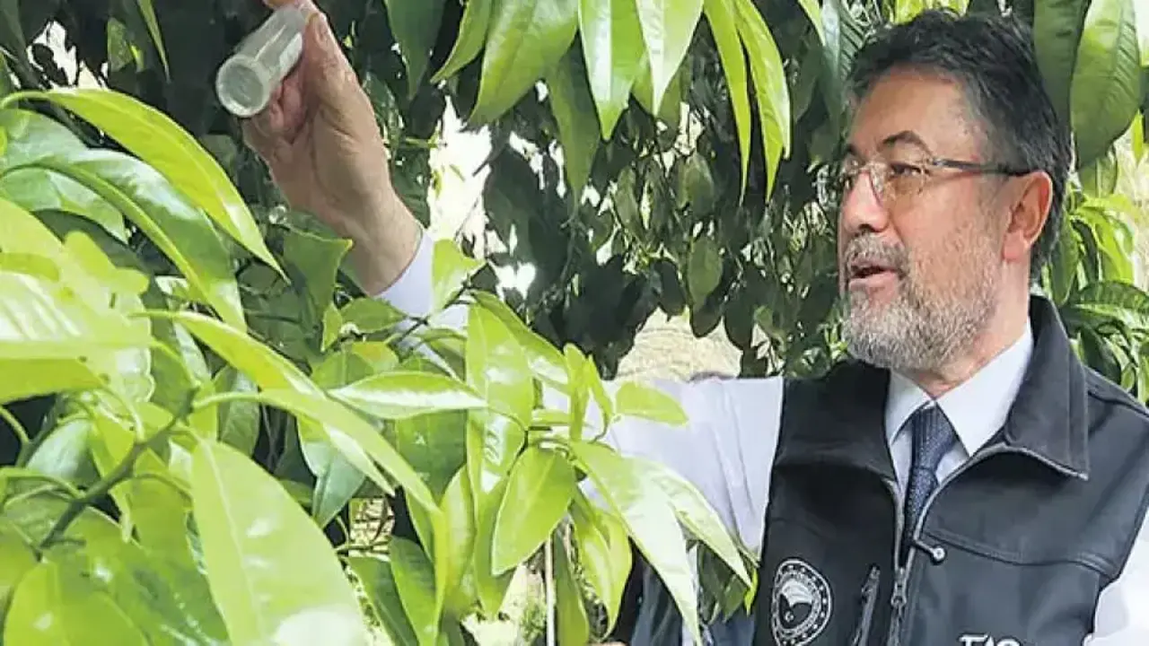 Yerli tohumda 17 türde 39 yeni çeşit daha tescil edildi