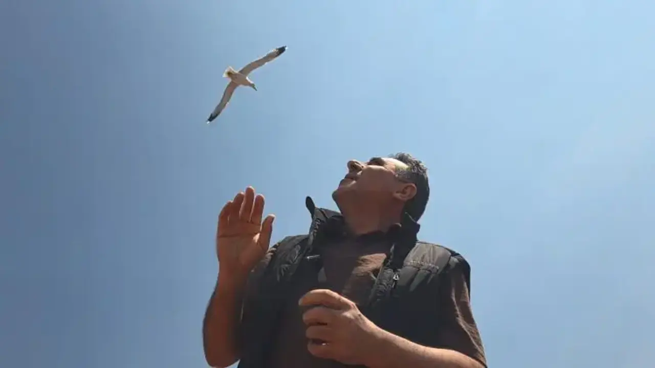 Zeytinburnu'nda anten tamiri için çatıya çıktı, martıların saldırısına uğradı