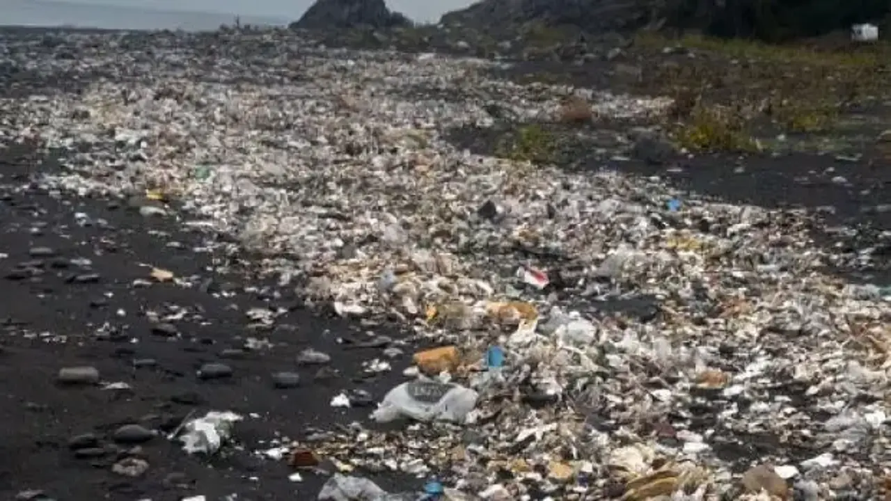 Zonguldak'ta sağanak sonrası denize sürüklenen çöpler kıyıya vurdu